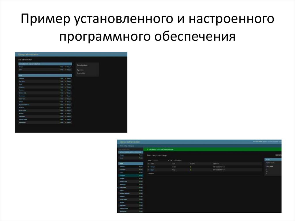 Пример установленного и настроенного программного обеспечения