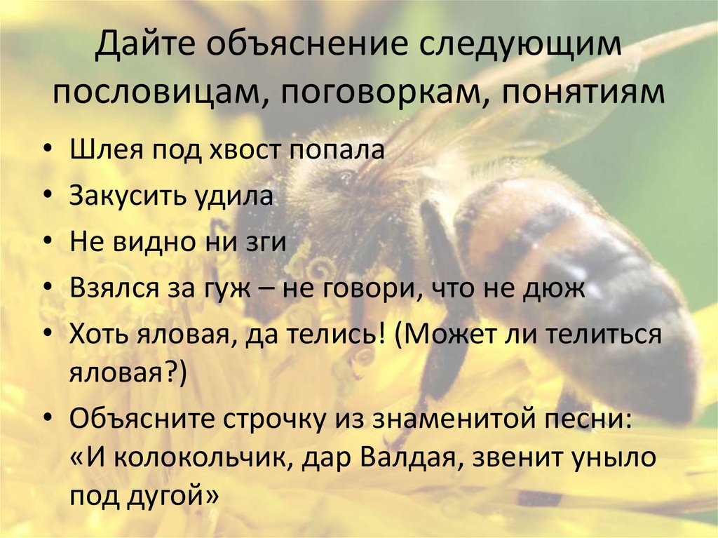 Дайте объяснение следующим пословицам, поговоркам, понятиям