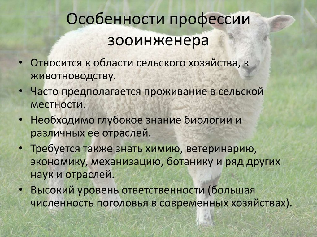 Особенности профессии зооинженера