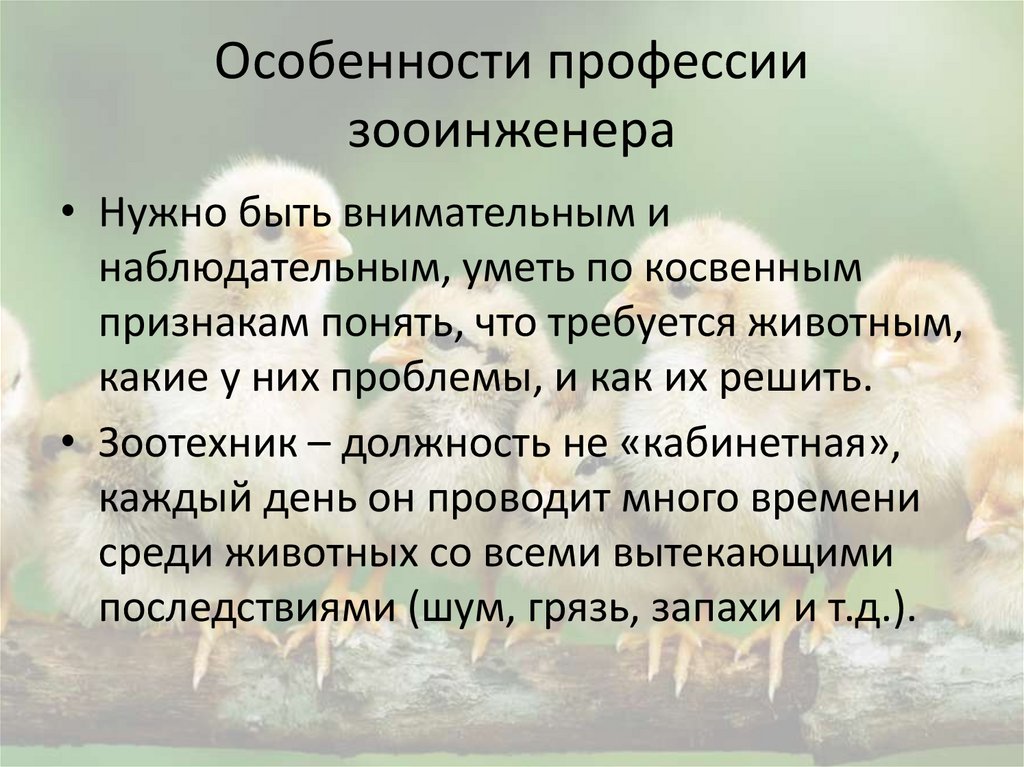 Особенности профессии зооинженера