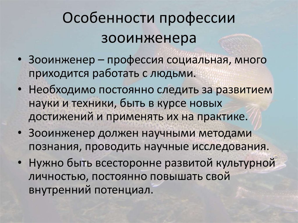 Особенности профессии зооинженера