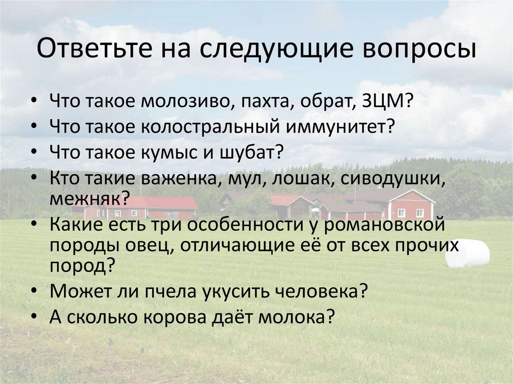 Ответьте на следующие вопросы