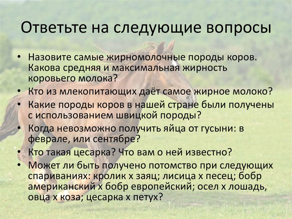 Ответьте на следующие вопросы