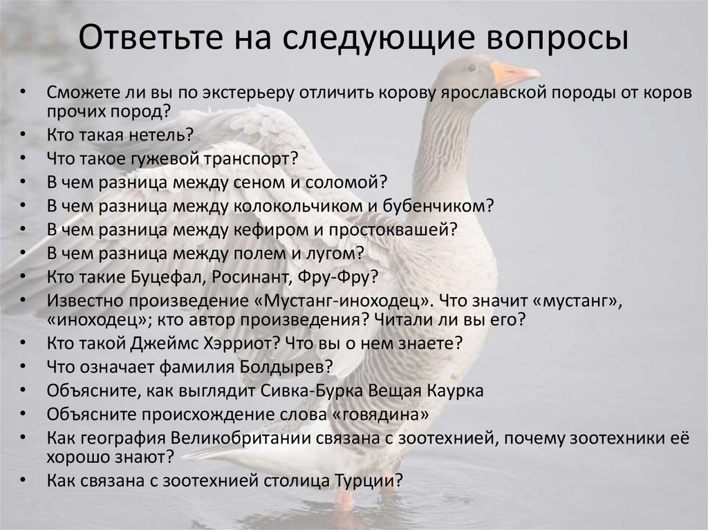 Ответьте на следующие вопросы