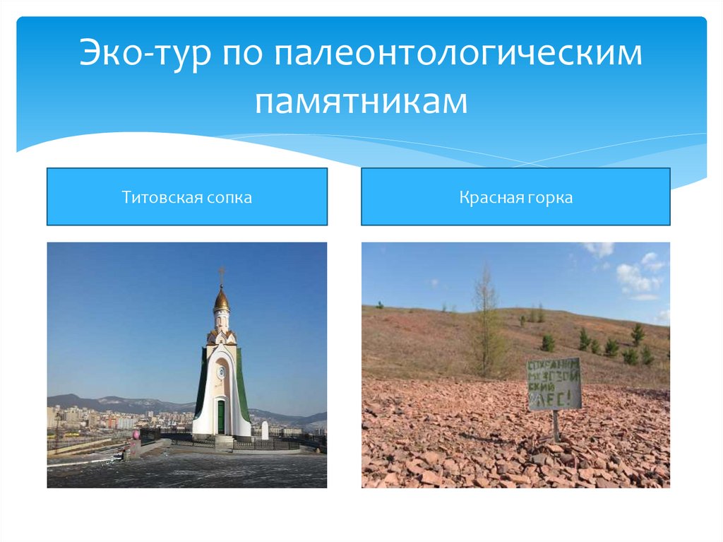 Эко-тур по палеонтологическим памятникам