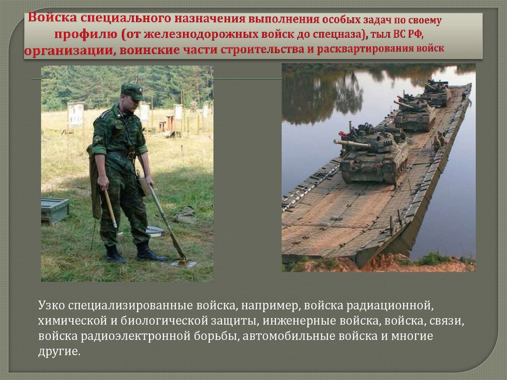 Войска специального назначения выполнения особых задач по своему профилю (от железнодорожных войск до спецназа), тыл ВС РФ,