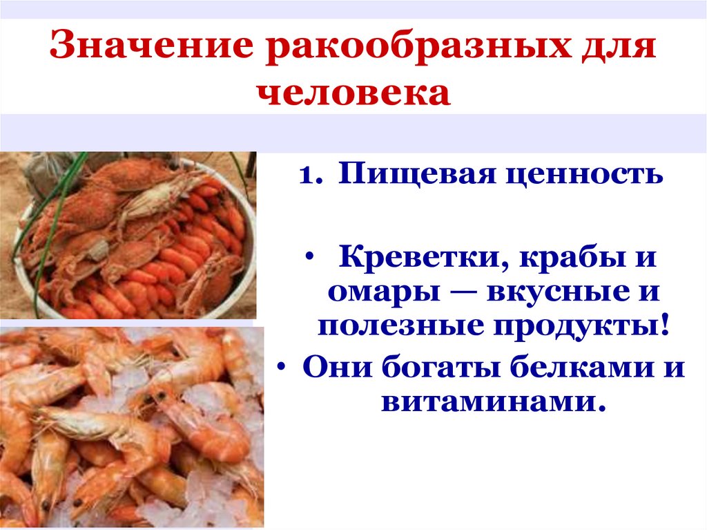 Значение ракообразных для человека