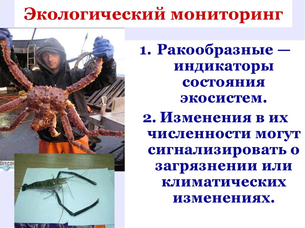 Экологический мониторинг