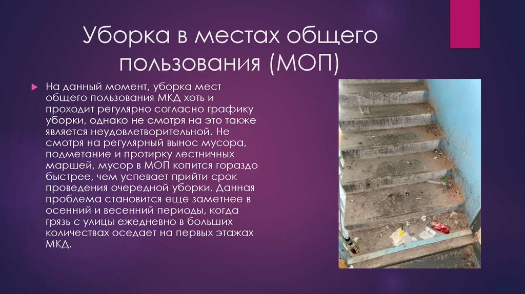 Уборка в местах общего пользования (МОП)