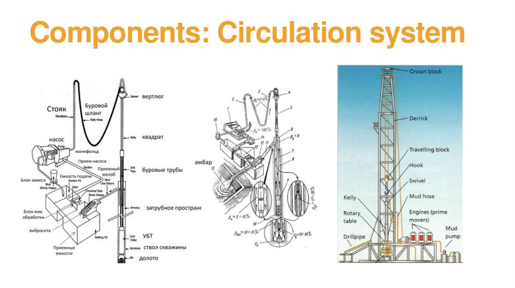 Components: Circulation system