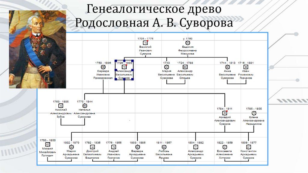 Генеалогическое древо Родословная А. В. Суворова