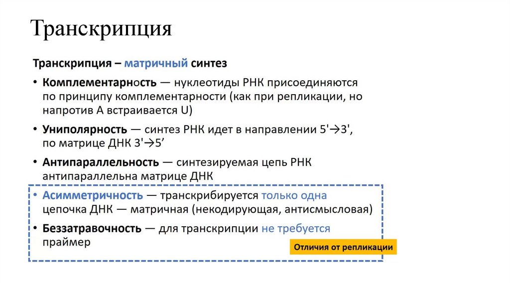 Транскрипция