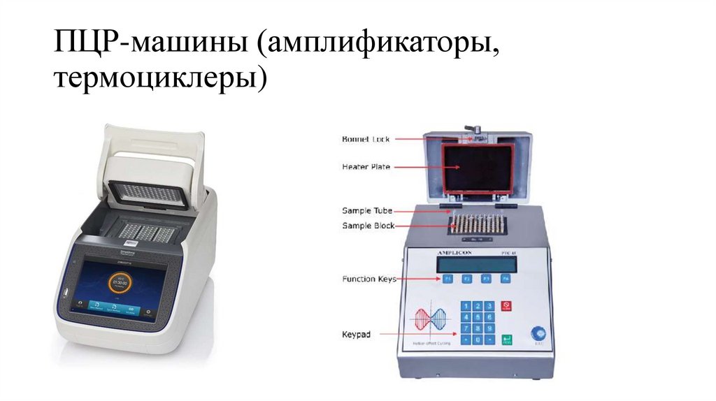 ПЦР-машины (амплификаторы, термоциклеры)