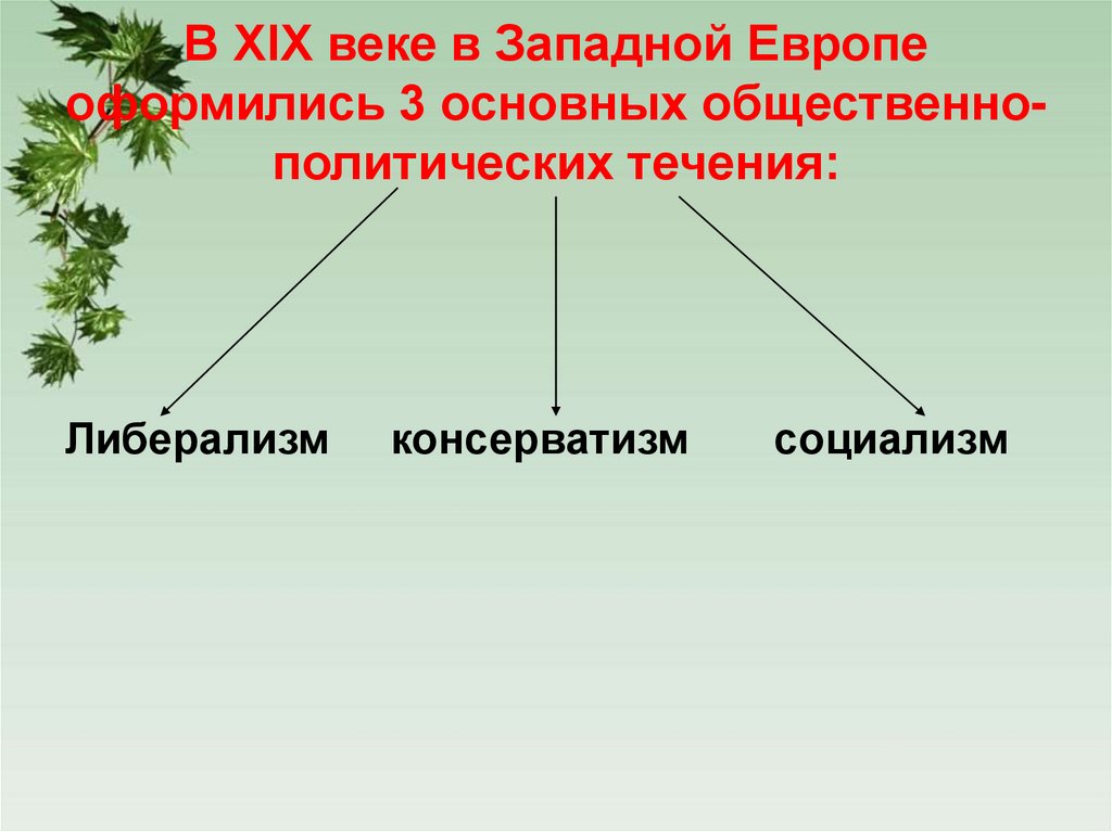 В XIX веке в Западной Европе оформились 3 основных общественно- политических течения:
