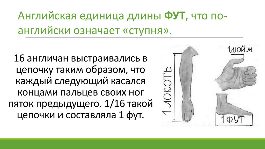 16 англичан выстраивались в цепочку таким образом, что каждый следующий касался концами пальцев своих ног пяток предыдущего.