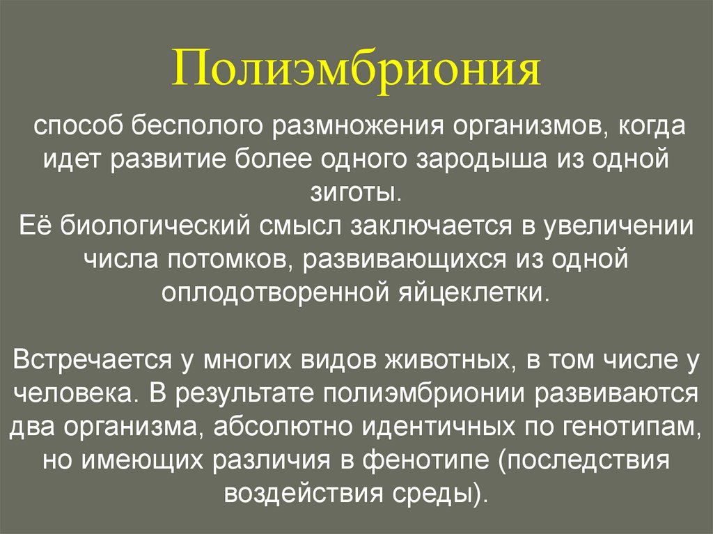 Полиэмбриония