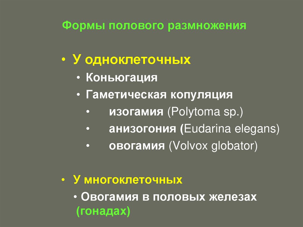 Формы полового размножения