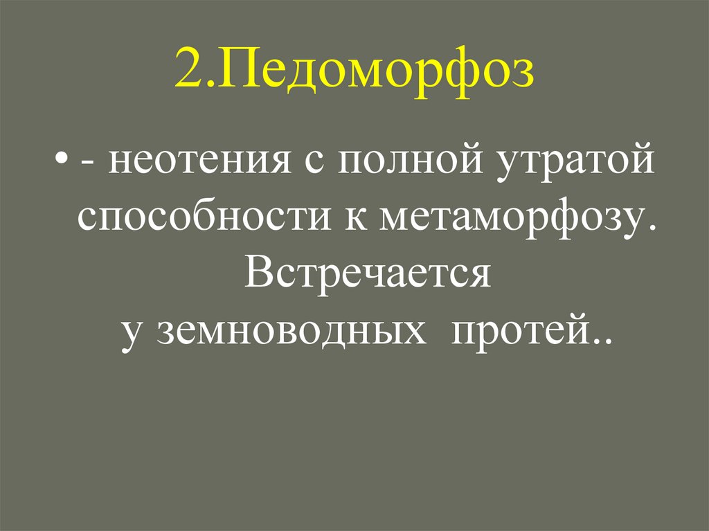 2.Педоморфоз