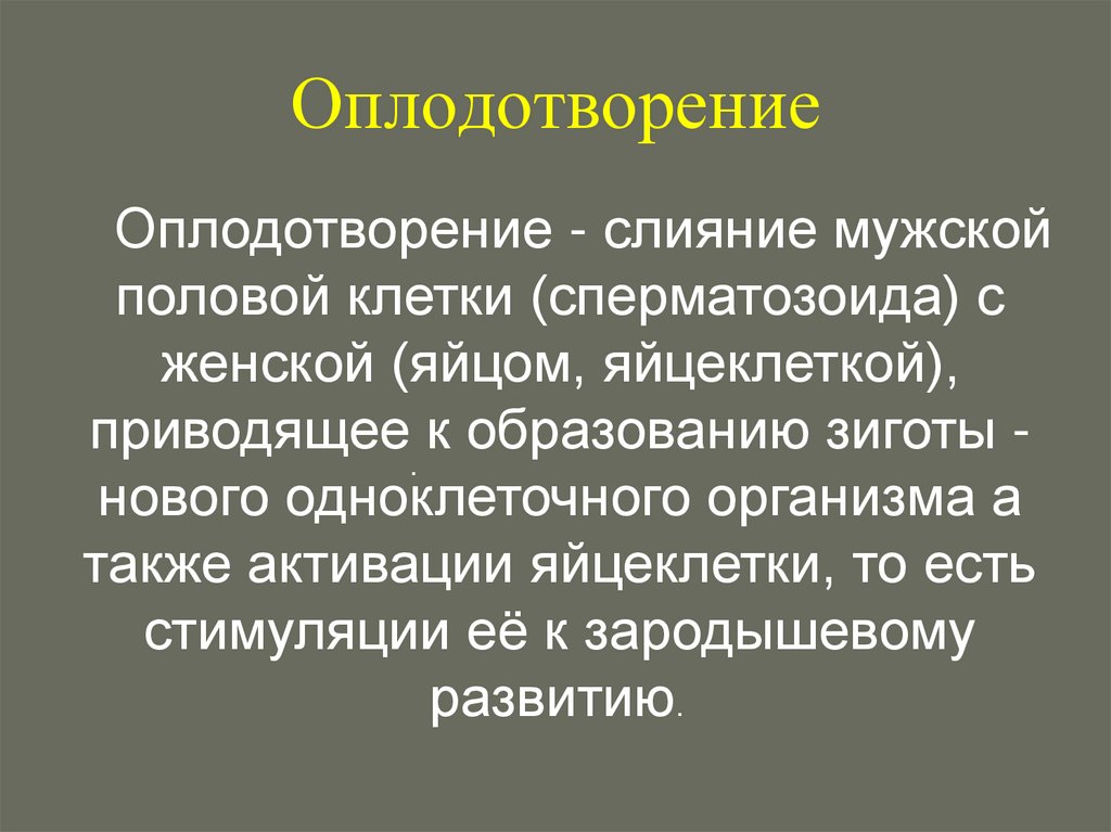 Оплодотворение