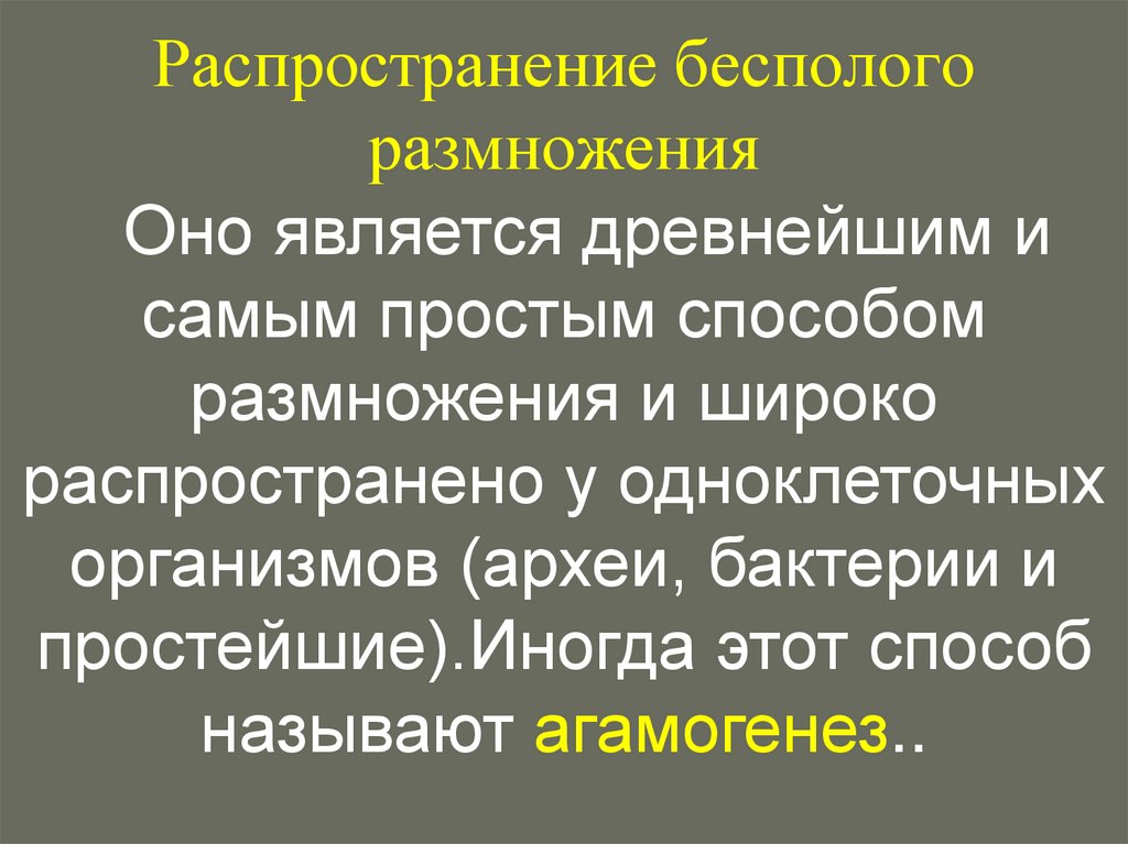 Распространение бесполого размножения