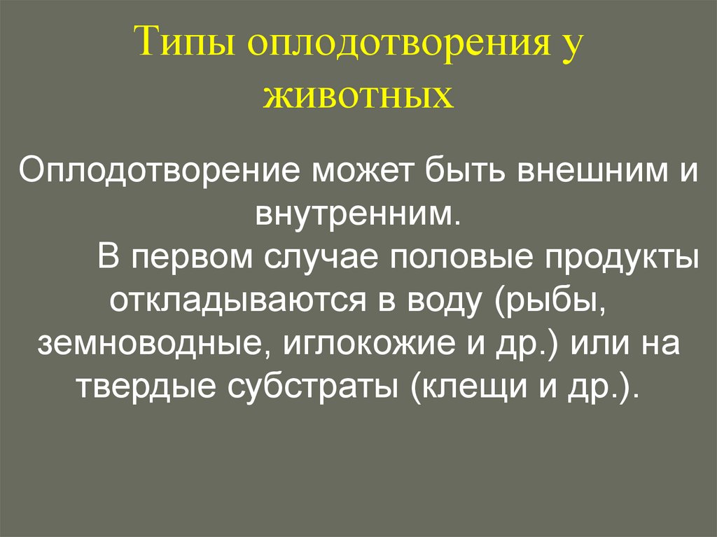 Типы оплодотворения у животных