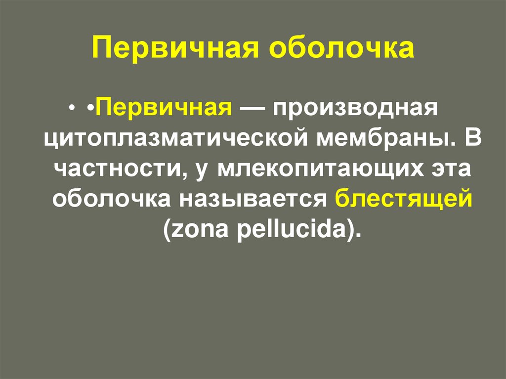 Первичная оболочка