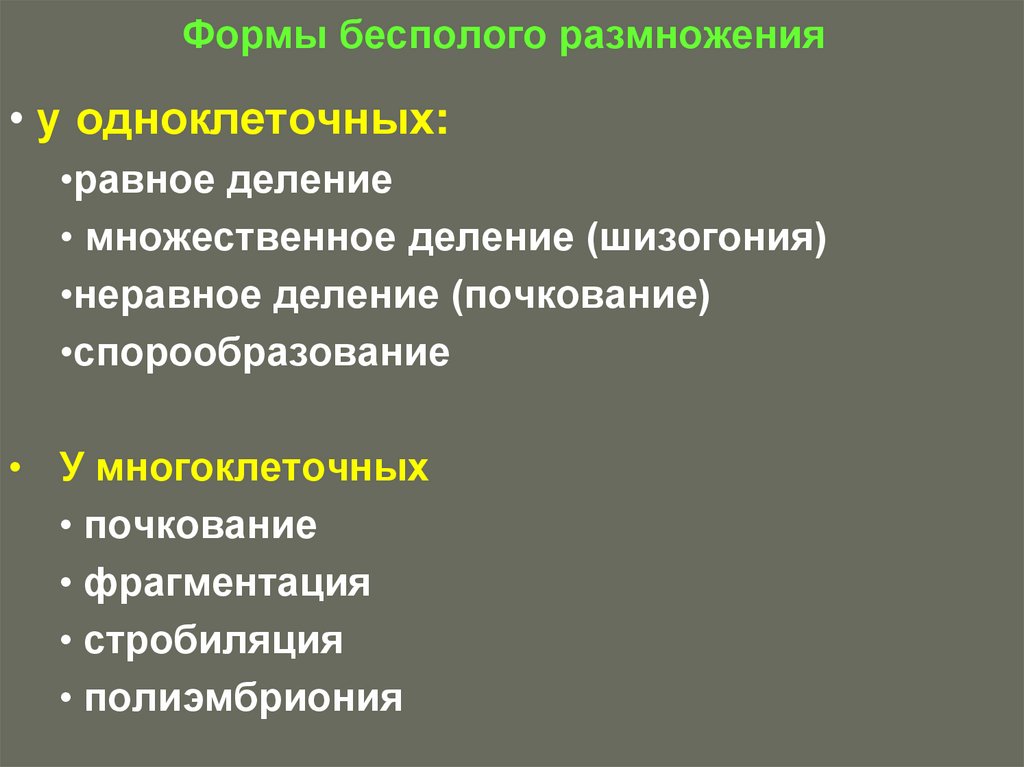 Формы бесполого размножения