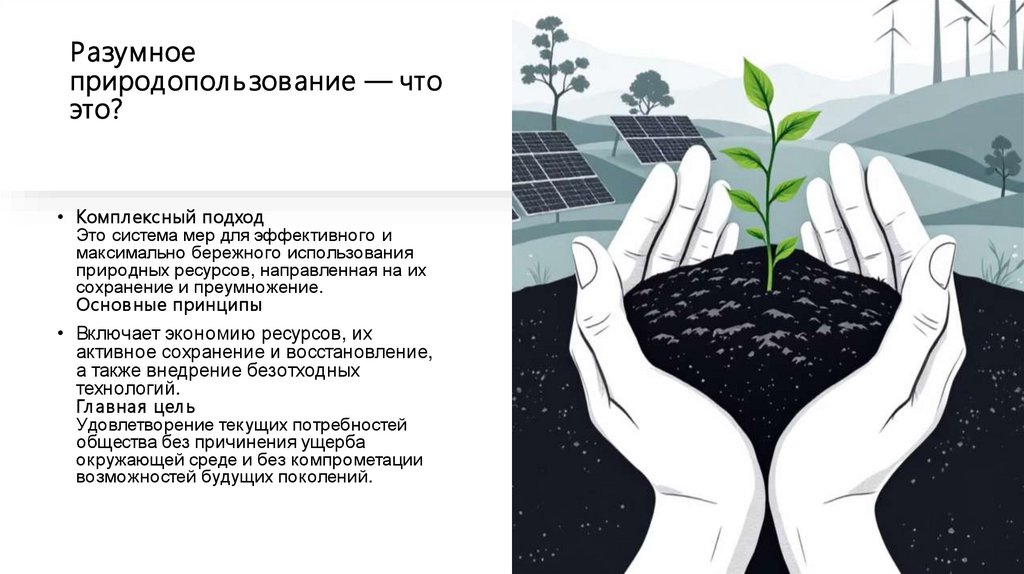 Разумное природопользование — что это?