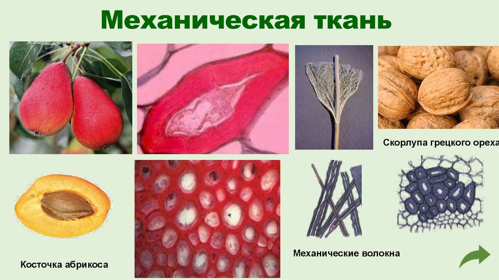 Механическая ткань