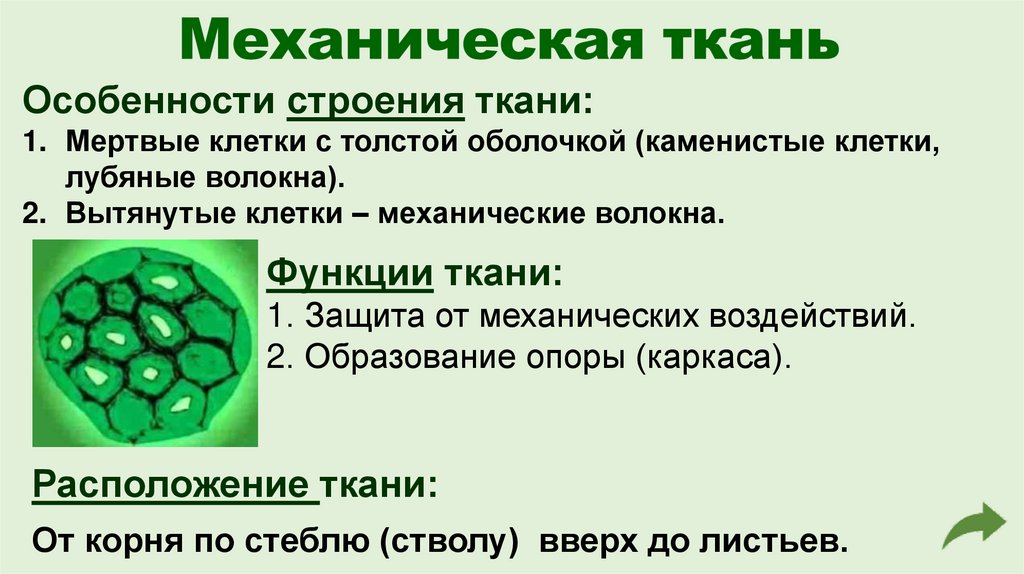 Механическая ткань