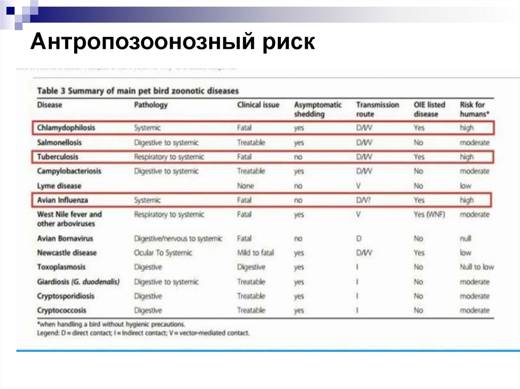 Антропозоонозный риск