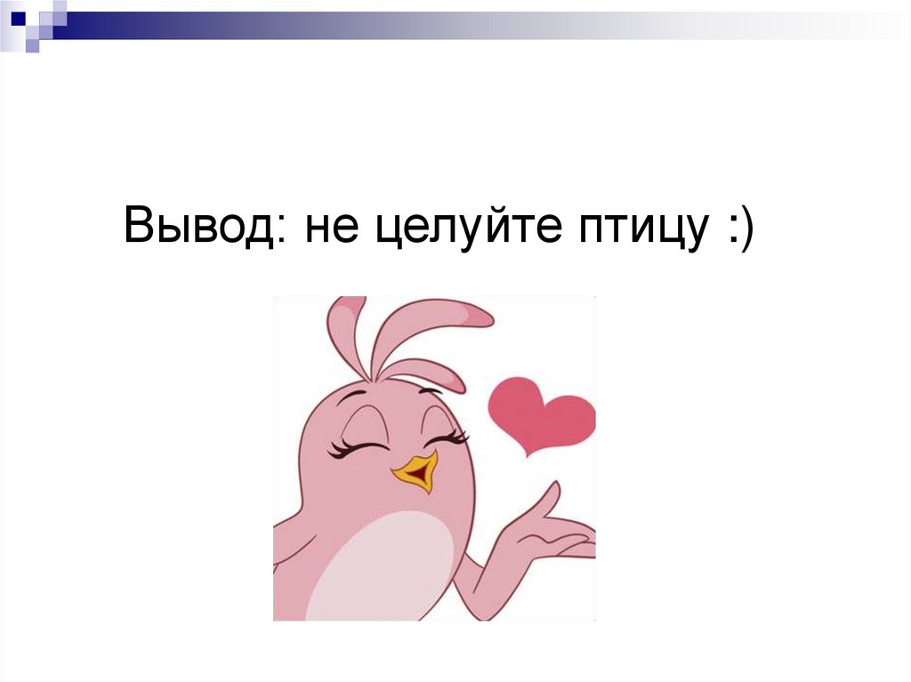 Вывод: не целуйте птицу :)