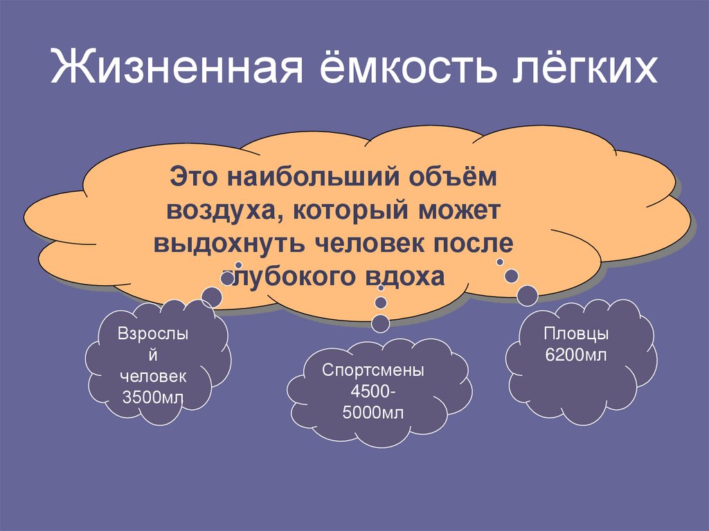 Жизненная ёмкость лёгких