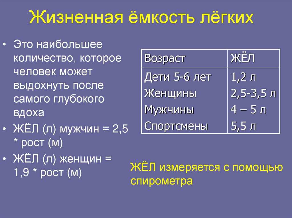 Жизненная ёмкость лёгких