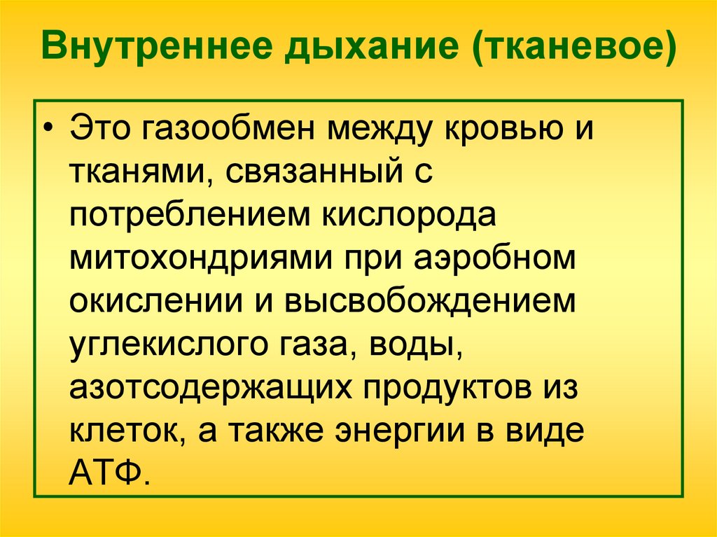 Внутреннее дыхание (тканевое)