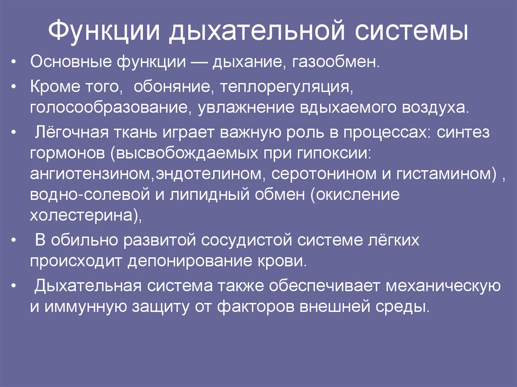 Функции дыхательной системы