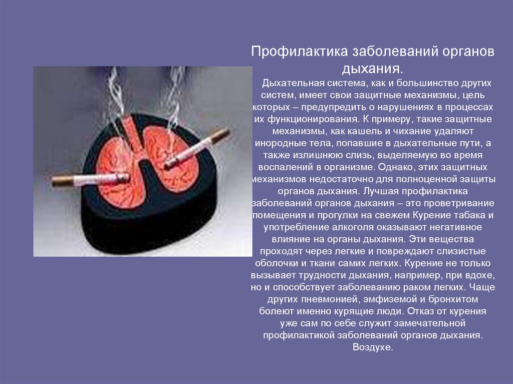 Профилактика заболеваний органов дыхания. Дыхательная система, как и большинство других систем, имеет свои защитные механизмы,