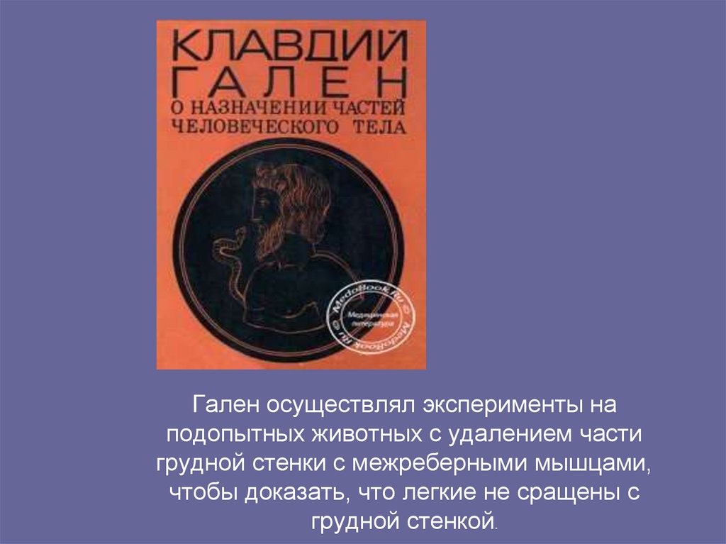 Гален осуществлял эксперименты на подопытных животных с удалением части грудной стенки с межреберными мышцами, чтобы доказать,