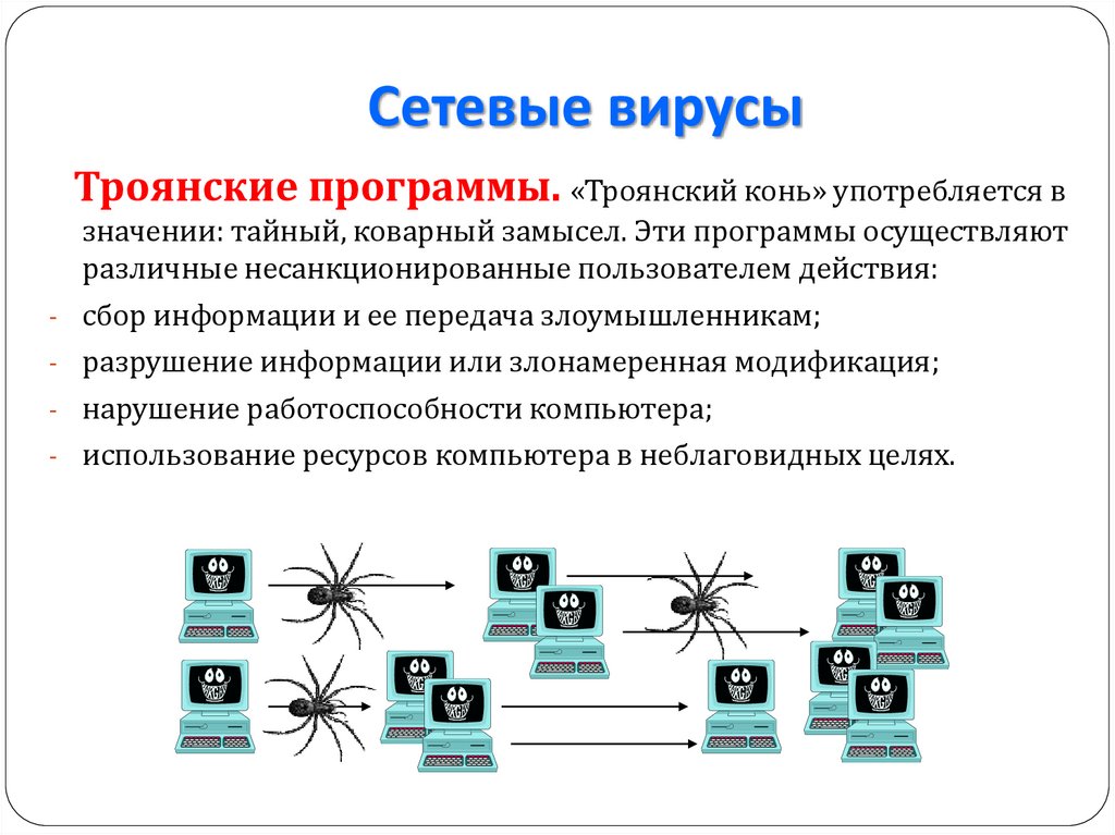 Сетевые вирусы