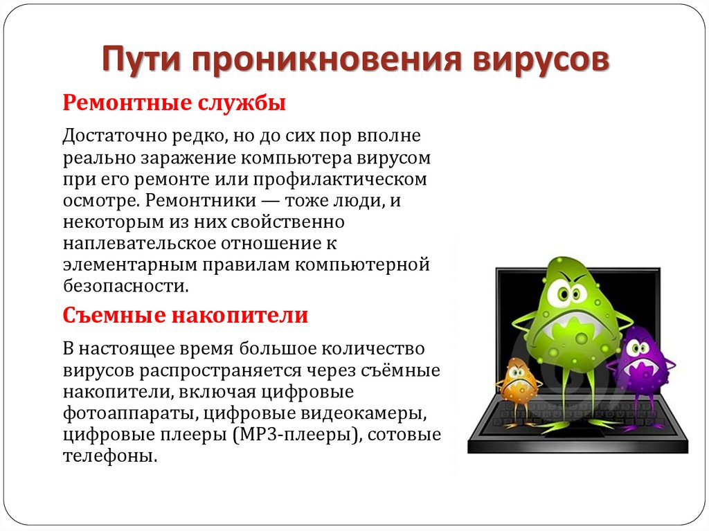 Пути проникновения вирусов