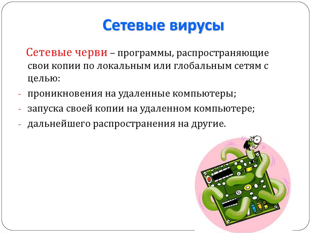 Сетевые вирусы