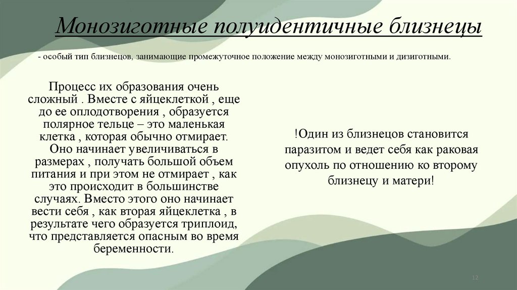 Монозиготные полуидентичные близнецы