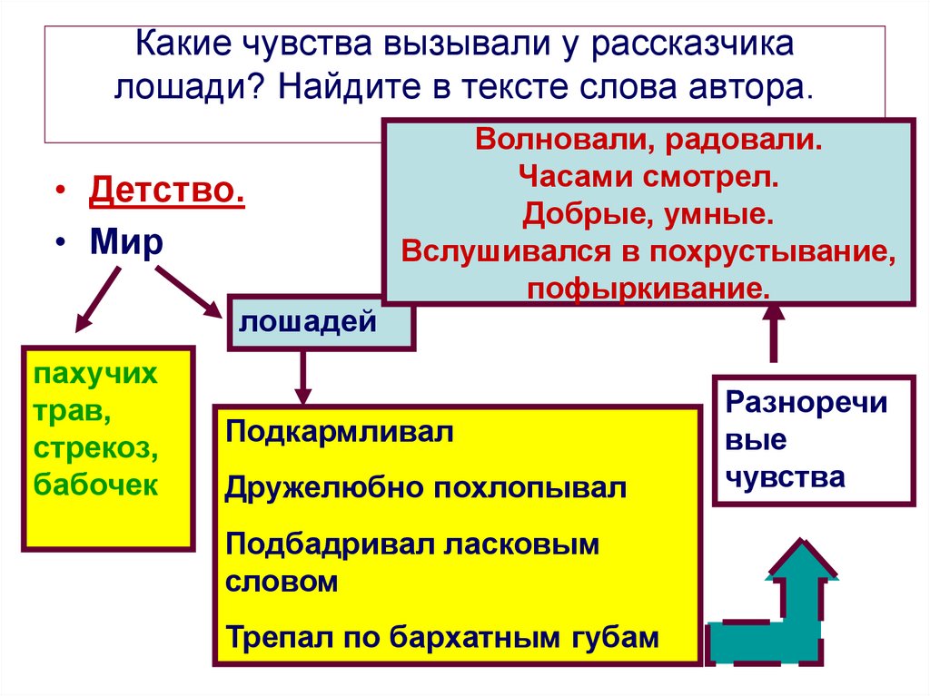 Какие чувства вызывали у рассказчика лошади? Найдите в тексте слова автора.