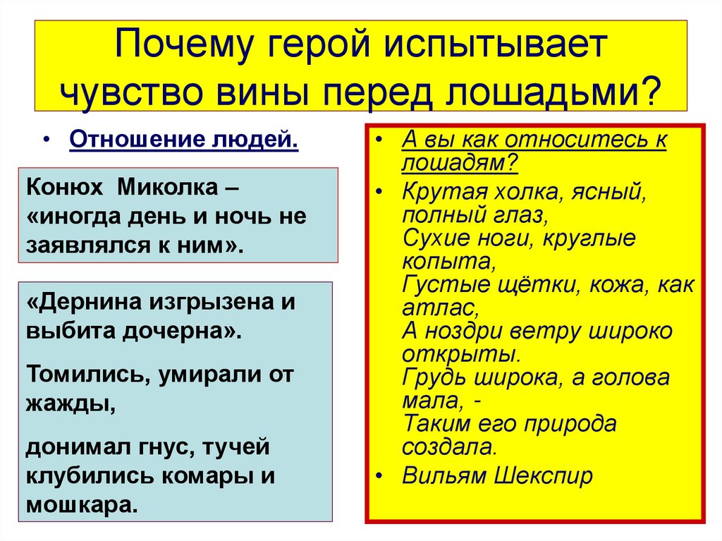 Почему герой испытывает чувство вины перед лошадьми?