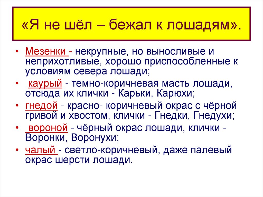 «Я не шёл – бежал к лошадям».