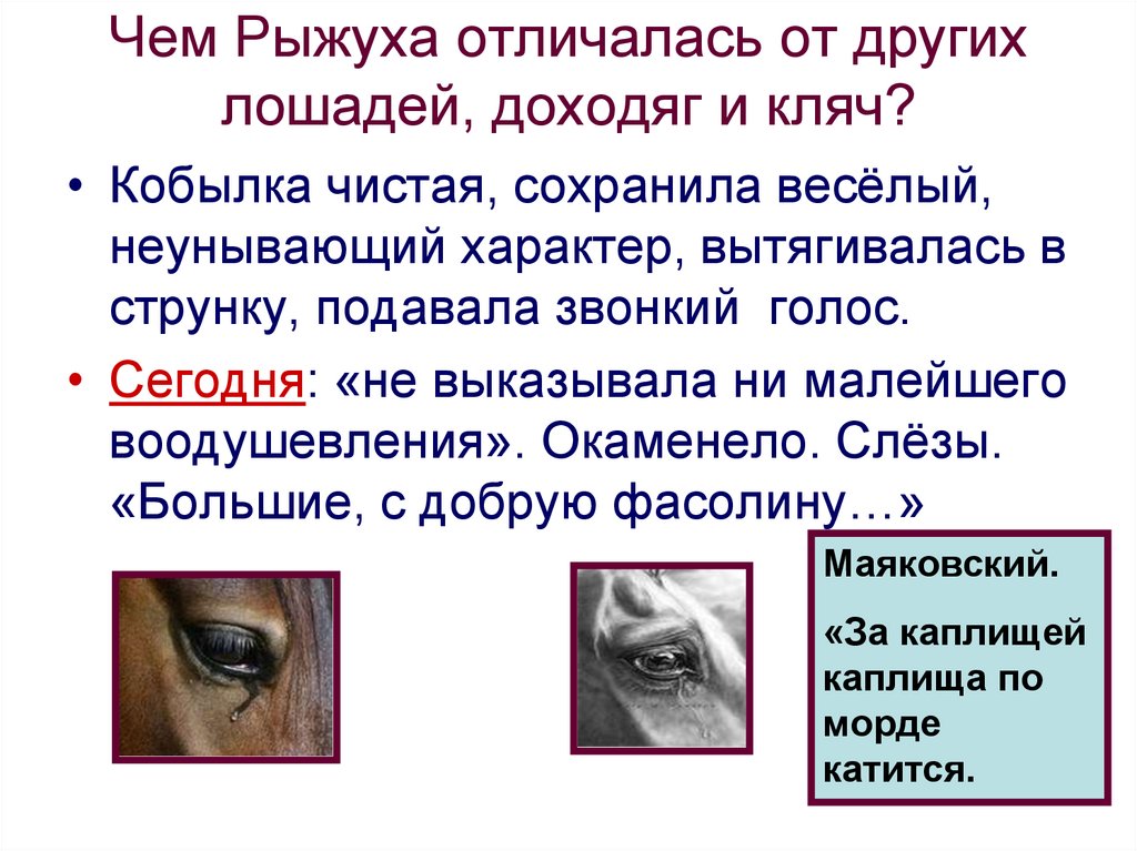 Чем Рыжуха отличалась от других лошадей, доходяг и кляч?