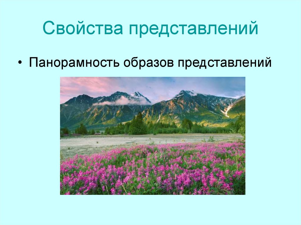 Свойства представлений