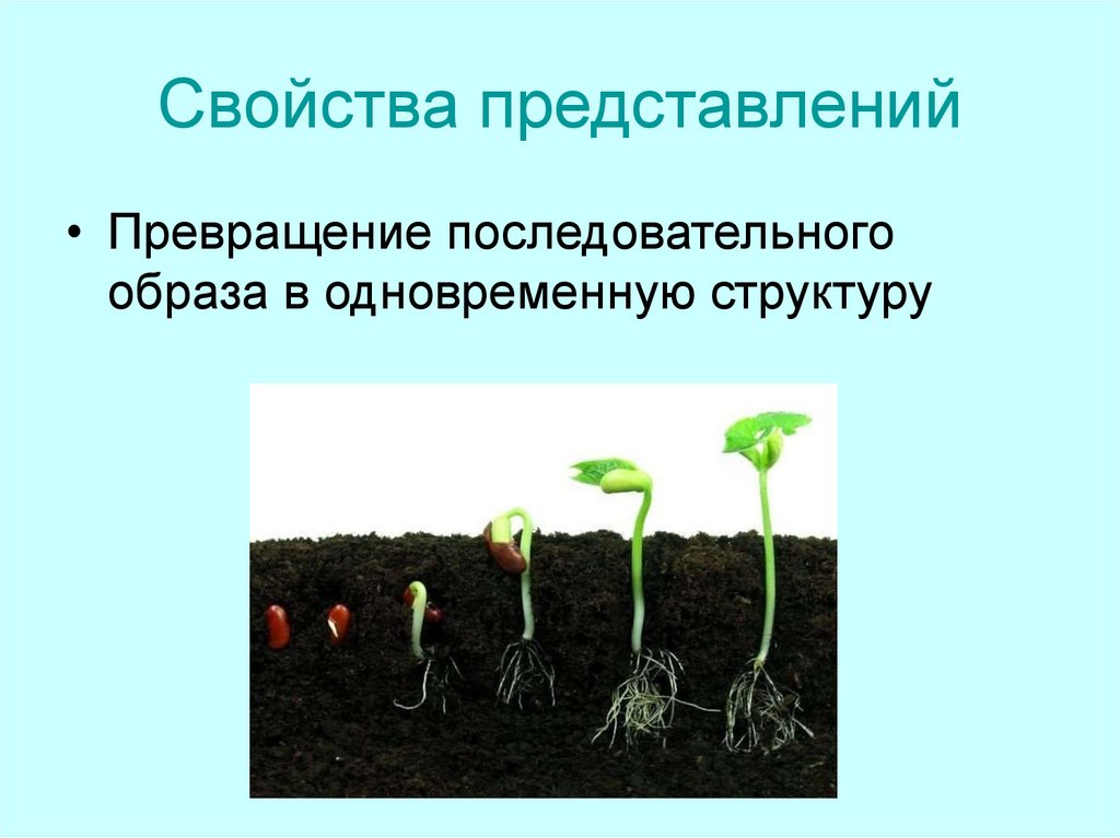 Свойства представлений