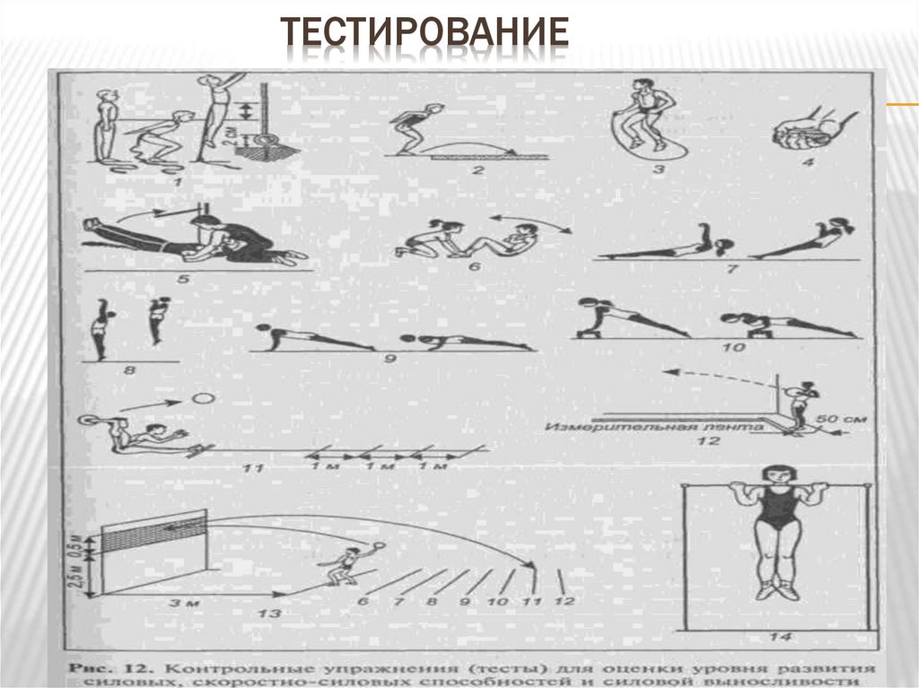 тестирование