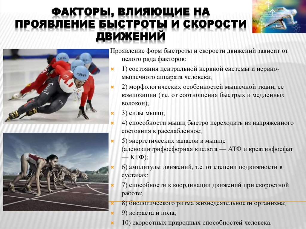 Факторы, влияющие на проявление быстроты и скорости движений